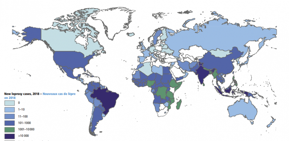 A Regional Health Information Organization Is Most Similar To A